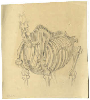 Visualizza l'immagine "FD D 154"